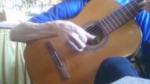 Musima Resonata