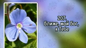 Гимны надежды 207 Ближе, мой Бог, к Тебе (-)