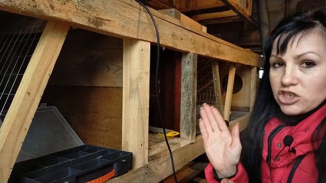 КРОЛИКИ//КЛЕТКА ДЛЯ КРОЛИКОВ СВОИМИ РУКАМИ