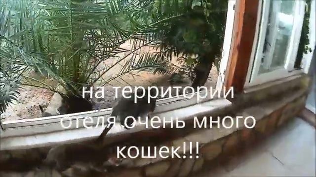 Отель "MUZ" 3 Турция,Аланья.