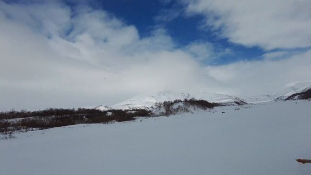 Камчатка. На Авачинский вулкан на снегоходе.Медведь рядом! Стоит ли ехать? Посмотрите и решите. смотреть онлайн