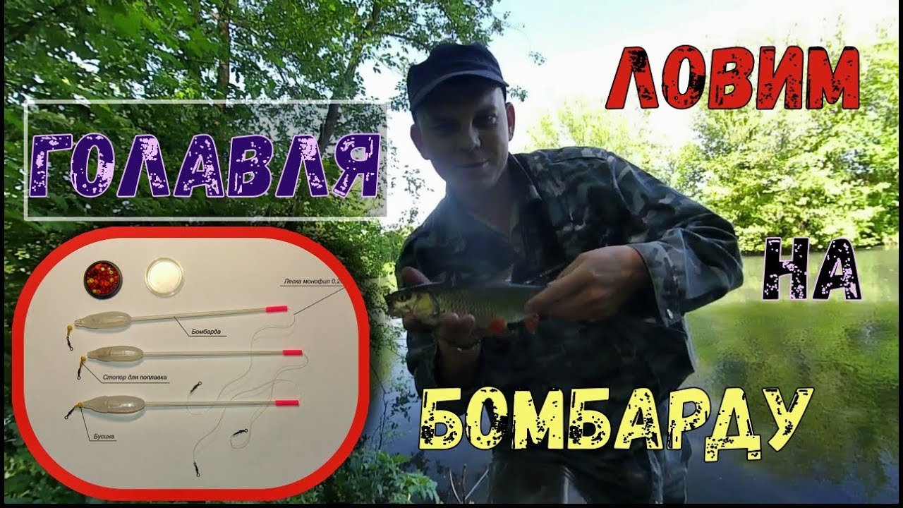 Как ловить ? голавля ?на бомбарду с майским жуком.?.mp4