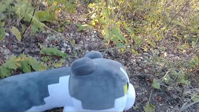 я кот улетел смотреть онлайн