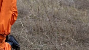 Почему Гагарин не первый космонавт?