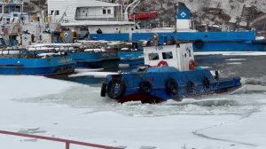 Весна натупает, затон просыпается#shorts