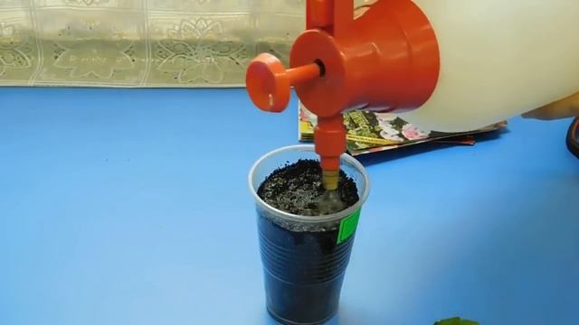 ???ГЕРАНЬ ( ПЕЛАРГОНИЯ ) ОТ ЧЕРЕНКА ДО ЦВЕТОВ ! РАЗМНОЖЕНИЕ ОТРОСТКОМ, А ТАКЖЕ КАК ВЫРАЩИВАТЬ смотреть онлайн