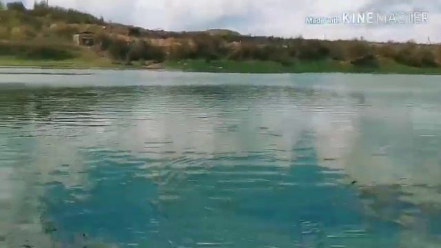 Щука 5.6кг zip baits zbl 123f "twiching" смотреть онлайн