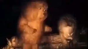 ???Я тебя в себя содержу... Мне весь этот мир абсолютно понятен!?