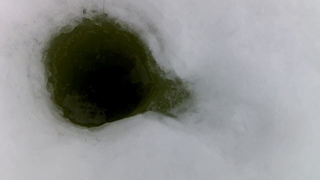 Ловим много щуки, плотвы и большого окуня. Рыбалка в Карелии. Толваярви. смотреть онлайн