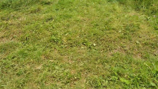 04.07.2021. Отдых выходного дня смотреть онлайн