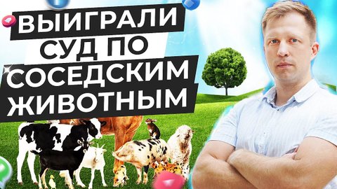 ВЫИГРАЛИ СУД ПО СОСЕДСКИМ ЖИВОТНЫМ