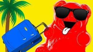 ЖЕЛЕЙНЫЙ МЕДВЕДЬ ВАЛЕРА ВЕРНУЛСЯ ИЗ ОТПУСКАЖЕЛЕЙНЫЙ МЕДВЕДЬ ВАЛЕРА ВЕРНУЛСЯ ИЗ ОТПУСКА
