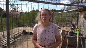 Собачий мини-приют Мой Сургут