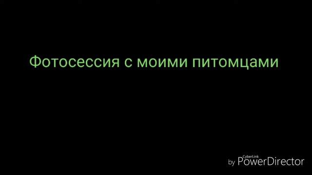 Рисуем на ibis paint x смотреть онлайн