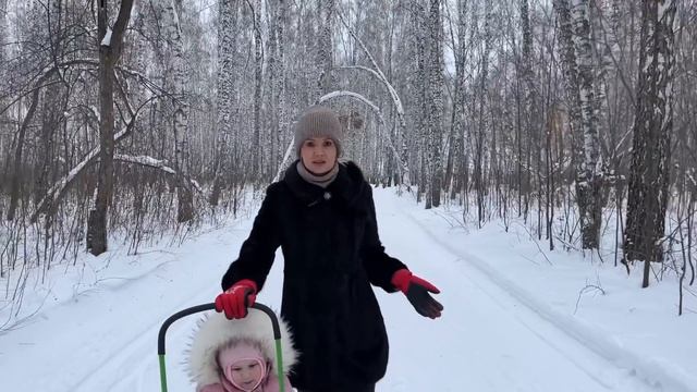 72/ Переезд из РК в РФ. Мы приезжие жители города Ялуторовска. Роща Декабристов.Купили дом в Сибири смотреть онлайн