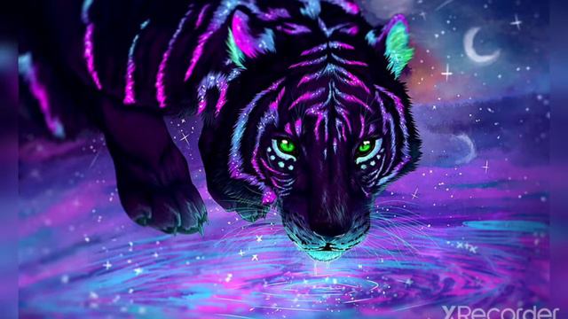 Кот мау мау мау мау смотреть онлайн