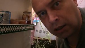 Я НЕ ПОНЯЛ, ЧТО ВЫ ДЕЛАЕТЕ В МОЁМ ХОЛОДИЛЬНИКЕ — Геннадий Горин
Оригинал