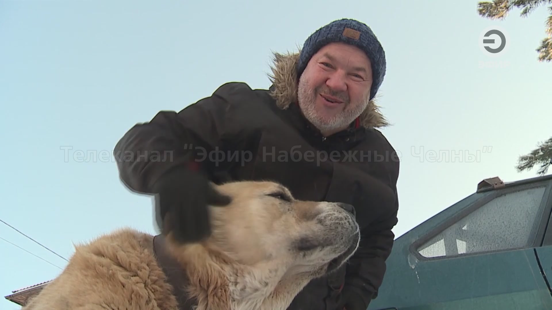 УЖЕСТОЧИТЬ НАКАЗАНИЕ ЗА НАРУШЕНИЕ ПРАВИЛ ВЫГУЛА СОБАК ПОТЕНЦИАЛЬНО ОПАСНЫХ ПОРОД