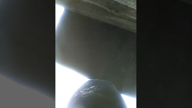 Как сделать стрелу для лука смотреть онлайн