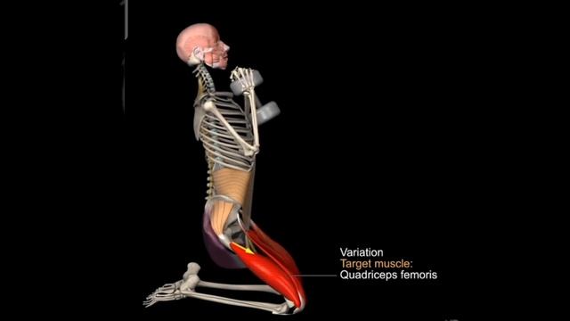 Kneeling Squat - Rights & Wrong