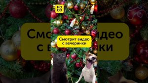 Состояния 1 Января #юмор #мемы #жиза