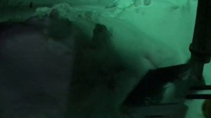 Снеговые лопаты на колесе все варианты