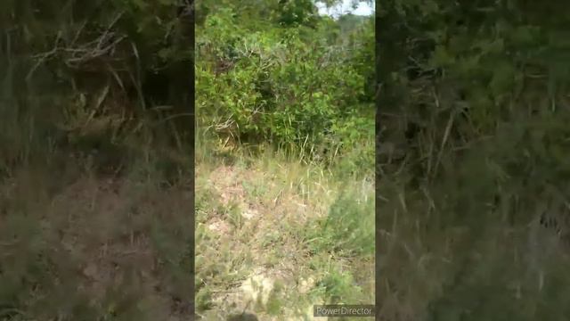 Уборка вдоль р. Кошевая на Острове 30.05.2020 (анонс) смотреть онлайн