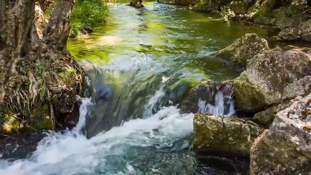 Музыка для исцеления всех болей тела, души и духа ? Успокаивающая ум, расслабляющая музыка смотреть онлайн