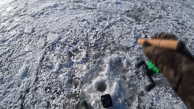 ОПУСТИЛ камеру в СТАЮ СУДАКА / Наткнулись на РЫБУ на небольшой глубине смотреть онлайн