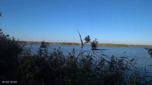 2 часть замечательной охоты на утку в дельте Волги.