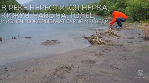 В самое сердце Камчатки: Кроноцкий вулкан, Кизимен, Тумроки.