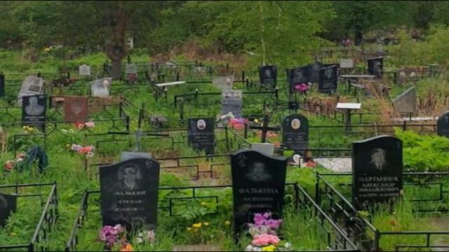 ЧТО ТАКОЕ ТЁЛКА? / Как найти девушку? смотреть онлайн