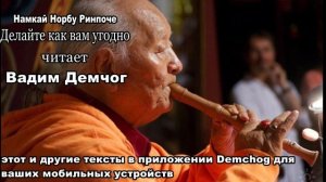 Намкай Норбу Ринпоче. Делайте как вам угодно.