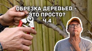 Как  обрезать деревья весной? Особенности обрезки деревьев