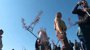 Сеть гипермаркетов "Уютстрой" приняла участие в акции "Сады Победы"