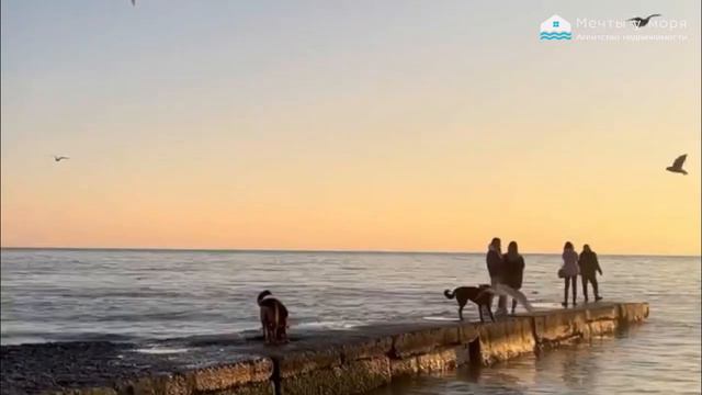 Море на закате в марте в Сочи / Агентство недвижимости Мечты у моря. Риелтор в  Сочи, Адлере, Анапе