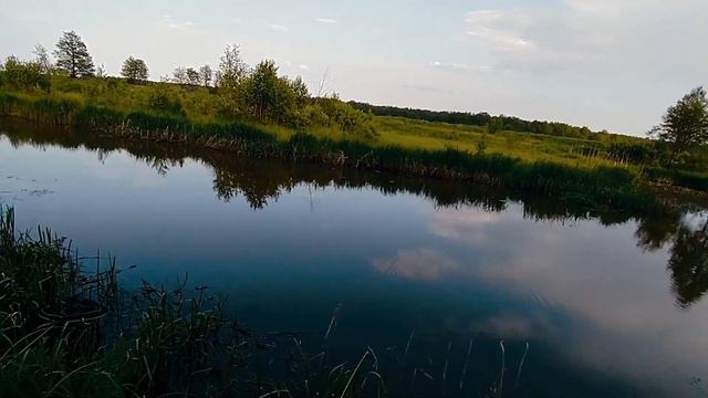 РЫБАЧУ на ДИКОЙ РЕЧКЕ. Трудовая РЫБАЛКА в МАЕ. РЫБАЛКА в БЕЛАРУСИ. смотреть онлайн