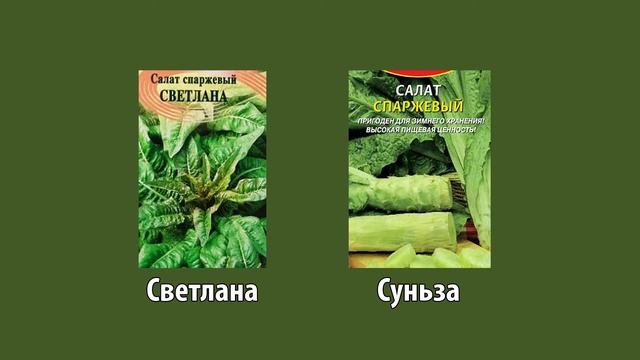 Что такое уйсун?  Всё о спаржевом салате