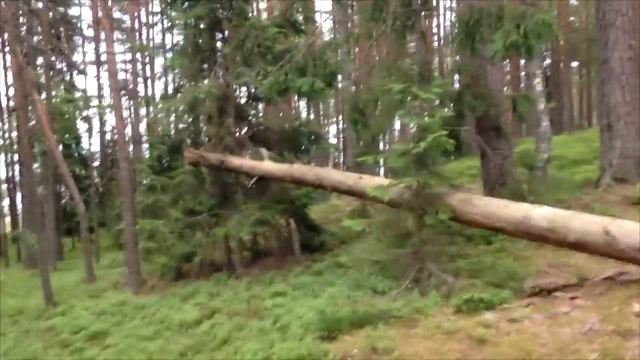 Lee Kei: Можно ли менять свои мнения? смотреть онлайн