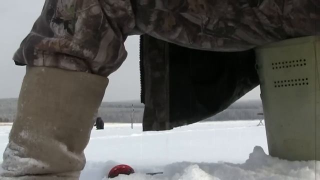 Рыболов VS Речного окуня. р.Ангара.Иркутск. смотреть онлайн