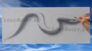 Как нарисовать змею Как рисовать 3d Оптическая иллюзия 1