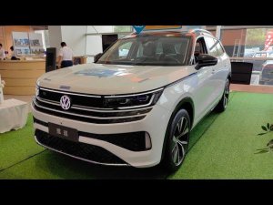 Volkswagen Tavendor - привезем из Китая (цена ниже, в описании)