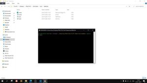 SOLVED ✔ In 2 Minute | Access To Script At From Origin ‘null’ Has Been Blocked By Cors Policy.