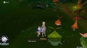 Genshin Impact, Секретный аранара + баг с водой