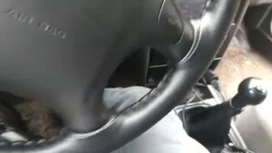 KIA Spectra оплетка на руль 1