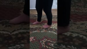 дрессировка той пуделя