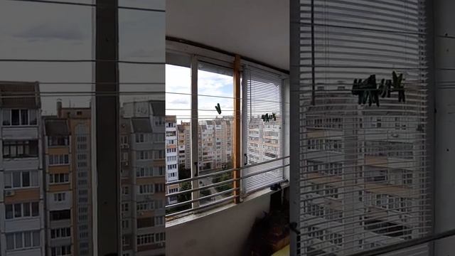 советы для Мамам и Папам,защитная перегородка для детей, делайте всем репост родителям. смотреть онлайн