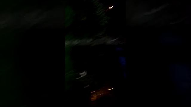 Поход в ресторан в Мацесте смотреть онлайн