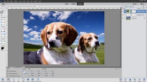 Photoshop Elements Remove Background Project for Beginners COMPLETE