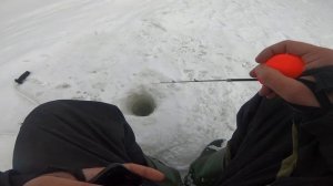 Зимняя удочка от Михалыча для ловли форели на резину